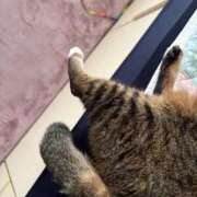 ヒメ日記 2026/09/13 17:36 投稿 あすか♪ プリティーガール