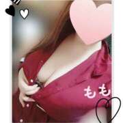 ヒメ日記 2026/02/19 12:59 投稿 もも 日本妻