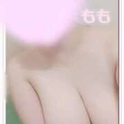 ヒメ日記 2026/04/08 14:57 投稿 もも 日本妻