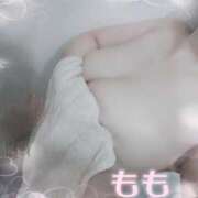 ヒメ日記 2026/05/14 14:02 投稿 もも 日本妻