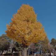 ヒメ日記 2024/12/10 14:08 投稿 由衣(ゆい) 人妻出逢い会 百合の園 山の手本店