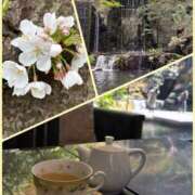 ヒメ日記 2025/03/28 21:58 投稿 由衣(ゆい) 人妻出逢い会 百合の園 山の手本店