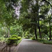 ヒメ日記 2025/05/24 10:17 投稿 由衣(ゆい) 人妻出逢い会 百合の園 山の手本店