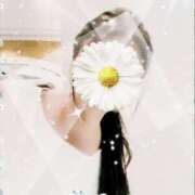 ヒメ日記 2025/06/26 23:47 投稿 由衣(ゆい) 人妻出逢い会 百合の園 山の手本店