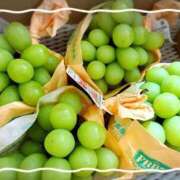 ヒメ日記 2025/10/05 00:07 投稿 由衣(ゆい) 人妻出逢い会 百合の園 山の手本店