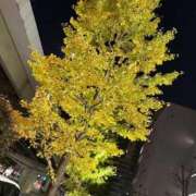 ヒメ日記 2025/11/19 22:37 投稿 由衣(ゆい) 人妻出逢い会 百合の園 山の手本店