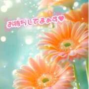 ヒメ日記 2025/10/18 09:30 投稿 宇多野艶 五十路マダム エクスプレス京都店