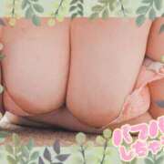 ヒメ日記 2026/03/06 22:26 投稿 宇多野艶 五十路マダム エクスプレス京都店