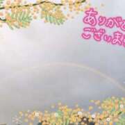 ヒメ日記 2024/12/21 18:12 投稿 宇多野艶 五十路マダム 滋賀店(カサブランカグループ)