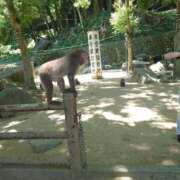 ヒメ日記 2026/02/23 15:15 投稿 まりる ヌーベル・マリエ