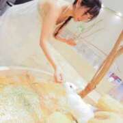 ヒメ日記 2026/01/09 06:45 投稿 Mitsuki PROPORTION