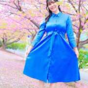 ヒメ日記 2026/04/14 06:45 投稿 Mitsuki PROPORTION