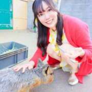 ヒメ日記 2026/04/15 21:45 投稿 Mitsuki PROPORTION