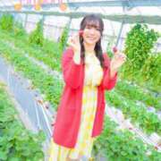 ヒメ日記 2026/04/16 11:45 投稿 Mitsuki PROPORTION