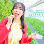 ヒメ日記 2026/04/21 11:45 投稿 Mitsuki PROPORTION