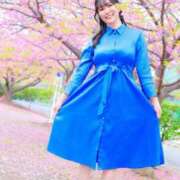 ヒメ日記 2026/04/29 11:45 投稿 Mitsuki PROPORTION