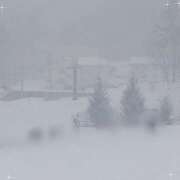 ヒメ日記 2025/02/15 18:30 投稿 みらい ピンクハウス（横浜）