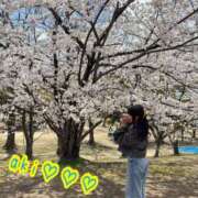 ヒメ日記 2025/04/06 15:02 投稿 あき パリス雄琴店