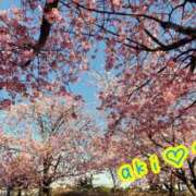 ヒメ日記 2025/04/07 01:27 投稿 あき パリス雄琴店