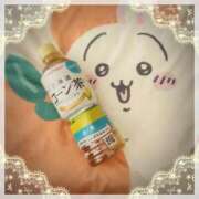 ヒメ日記 2024/12/14 10:45 投稿 ヤシュトラ Cawaiiハイ！スクールリターンズ