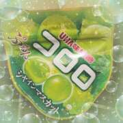 ヒメ日記 2025/02/28 19:30 投稿 ヤシュトラ Cawaiiハイ！スクールリターンズ