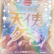 ヒメ日記 2025/04/15 15:30 投稿 ヤシュトラ Cawaiiハイ！スクールリターンズ