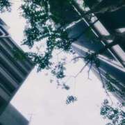 ヒメ日記 2025/05/18 17:46 投稿 ヤシュトラ Cawaiiハイ！スクールリターンズ