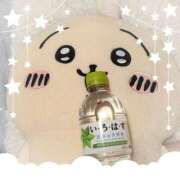 ヒメ日記 2025/06/08 19:13 投稿 ヤシュトラ Cawaiiハイ！スクールリターンズ