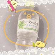 ヒメ日記 2025/06/16 07:15 投稿 ヤシュトラ Cawaiiハイ！スクールリターンズ