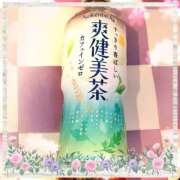 ヒメ日記 2025/06/16 21:15 投稿 ヤシュトラ Cawaiiハイ！スクールリターンズ