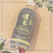 ヒメ日記 2025/06/17 12:45 投稿 ヤシュトラ Cawaiiハイ！スクールリターンズ