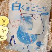 ヒメ日記 2025/06/24 07:15 投稿 ヤシュトラ Cawaiiハイ！スクールリターンズ