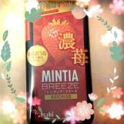 ヒメ日記 2025/06/24 18:45 投稿 ヤシュトラ Cawaiiハイ！スクールリターンズ