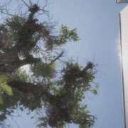 ヒメ日記 2025/06/27 14:45 投稿 ヤシュトラ Cawaiiハイ！スクールリターンズ