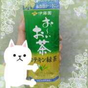 ヒメ日記 2025/07/03 19:45 投稿 ヤシュトラ Cawaiiハイ！スクールリターンズ