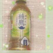 ヒメ日記 2025/07/20 17:43 投稿 ヤシュトラ Cawaiiハイ！スクールリターンズ