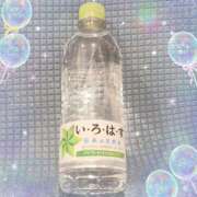 ヒメ日記 2025/08/12 13:30 投稿 ヤシュトラ Cawaiiハイ！スクールリターンズ