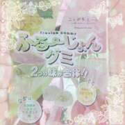 ヒメ日記 2025/09/15 13:30 投稿 ヤシュトラ Cawaiiハイ！スクールリターンズ