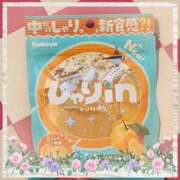 ヒメ日記 2025/09/18 13:30 投稿 ヤシュトラ Cawaiiハイ！スクールリターンズ