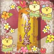 ヒメ日記 2025/09/30 07:15 投稿 ヤシュトラ Cawaiiハイ！スクールリターンズ