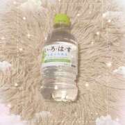 ヒメ日記 2025/10/13 21:08 投稿 ヤシュトラ Cawaiiハイ！スクールリターンズ