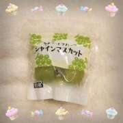 ヒメ日記 2025/10/23 18:30 投稿 ヤシュトラ Cawaiiハイ！スクールリターンズ