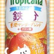 ヒメ日記 2025/12/11 14:45 投稿 ヤシュトラ Cawaiiハイ！スクールリターンズ