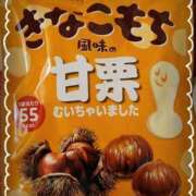 ヒメ日記 2025/12/15 14:45 投稿 ヤシュトラ Cawaiiハイ！スクールリターンズ