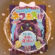 ヒメ日記 2026/03/07 12:30 投稿 ヤシュトラ Cawaiiハイ！スクールリターンズ