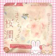 ヒメ日記 2026/03/14 13:45 投稿 ヤシュトラ Cawaiiハイ！スクールリターンズ