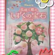 ヒメ日記 2026/03/27 19:45 投稿 ヤシュトラ Cawaiiハイ！スクールリターンズ