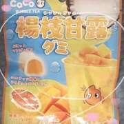 ヤシュトラ 3連勤⸜(๑’ᵕ’๑)⸝ Cawaiiハイ！スクールリターンズ