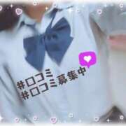 ヒメ日記 2026/08/13 13:31 投稿 ヤシュトラ Cawaiiハイ！スクールリターンズ