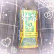 ヒメ日記 2026/09/13 07:15 投稿 ヤシュトラ Cawaiiハイ！スクールリターンズ